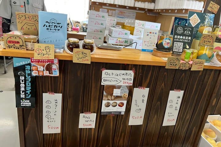 Karaku Peach Orchard Walk: Kurashiki Farm Tour & Momo-tein Tasting photo 4