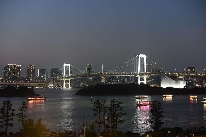 Tokyo Night View Private Car Tour: Tokyo Tower, Rainbow Bridge & Odaiba Dinner photo 2