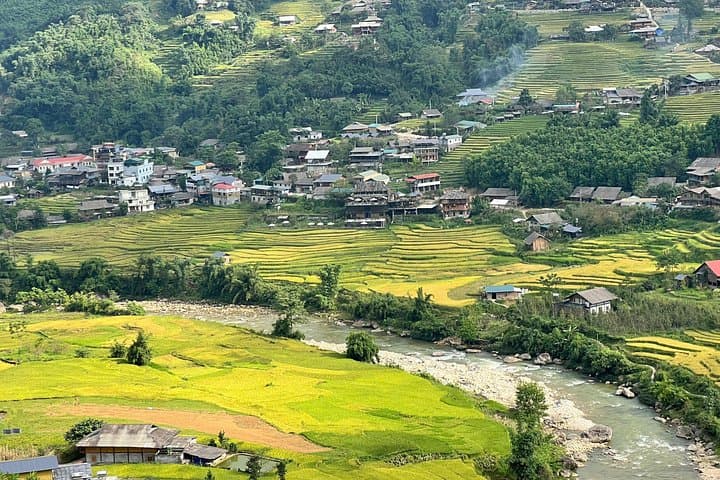 Sapa 2-Day Trekking Tour with Ta Van Homestay — Rice Terraces & Bamboo Forests photo 1