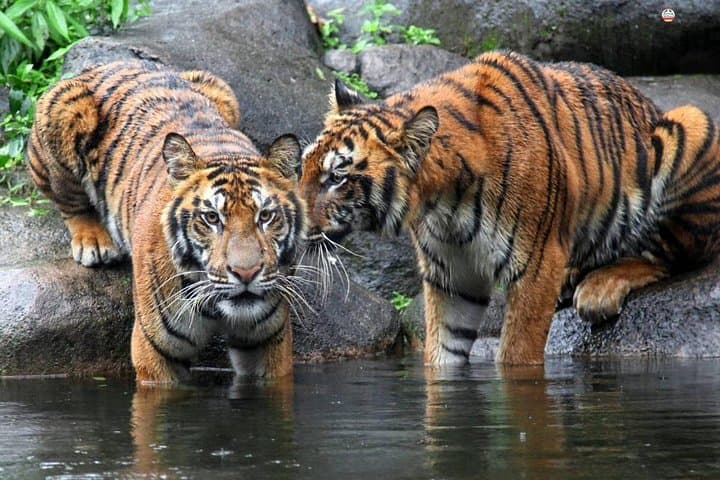 Golden Triangle & Jim Corbett: 8-Day Delhi, Agra, Jaipur & Tiger Safari photo 1