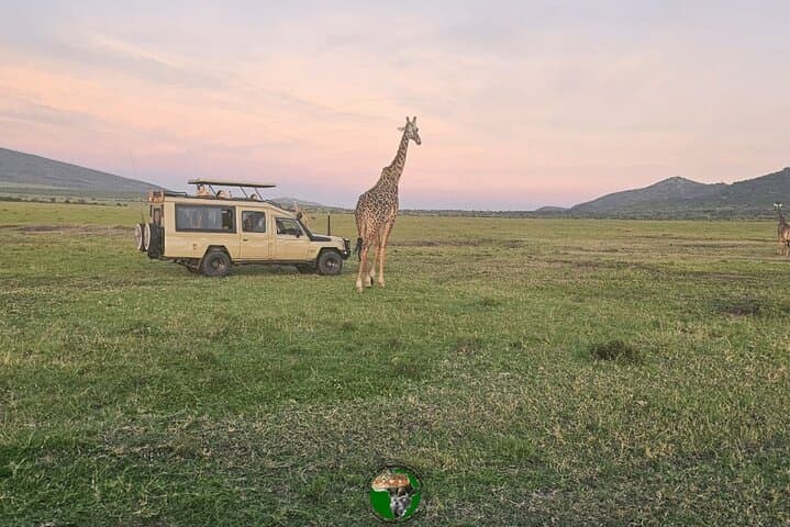 11-Day Honeymoon Private Safari: Amboseli, Masai Mara & Diani Beach photo 3