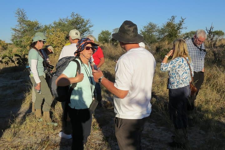 Full-Day Hwange Safari from Victoria Falls — Elephant Herds & Waterhole Game Drive photo 2