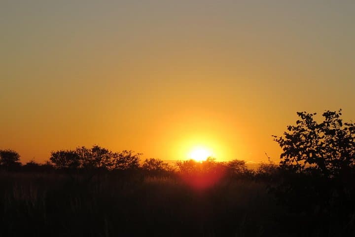 Full-Day Hwange Safari from Victoria Falls — Elephant Herds & Waterhole Game Drive photo 3