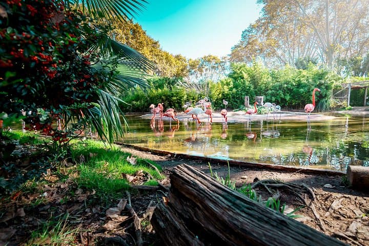Barcelona Zoo Entrance Ticket — Explore Parc de la Ciutadella's Historic Animal Collection photo 2
