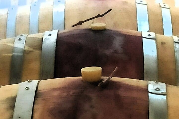 Gaillac Wine Escape from Toulouse — Small-Group Tastings & Winemaker Visits photo 3