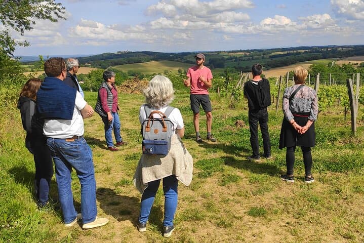 Gaillac Wine Escape from Toulouse — Small-Group Tastings & Winemaker Visits photo 6