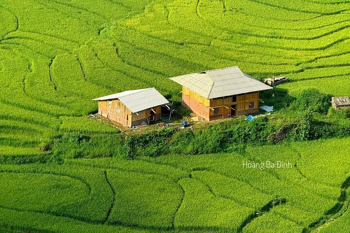Sapa Half-Day Trek: Ta Van, Lao Chai & Y Linh Ho Rice Terraces