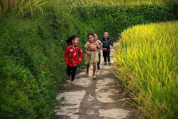Sapa Half-Day Trek: Ta Van, Lao Chai & Y Linh Ho Rice Terraces photo 4
