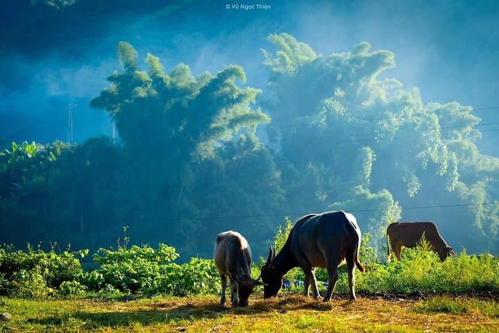 Sapa Half-Day Trek: Ta Van, Lao Chai & Y Linh Ho Rice Terraces photo 5