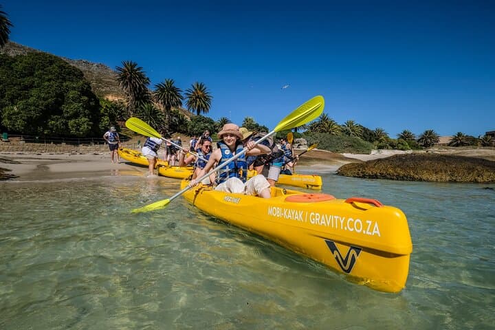 Sea Kayak from Simon's Town: Paddle to Boulders Beach Penguins photo 6