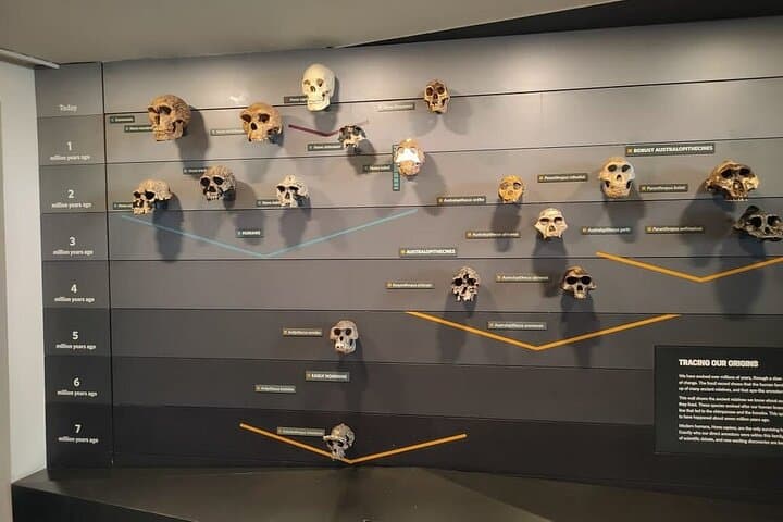 Private Natural History Museum Tour London — Dinosaurs, Gems & Space Rocks photo 4