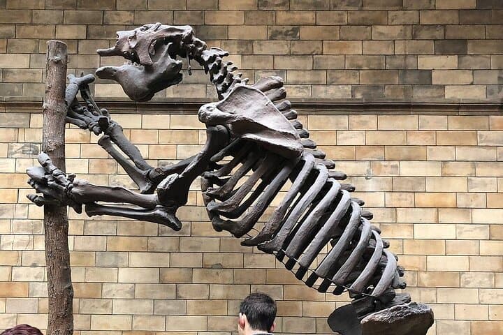 London Natural History Museum Private Guided Tour: Dinosaurs, Gems & Moon Rocks photo 2
