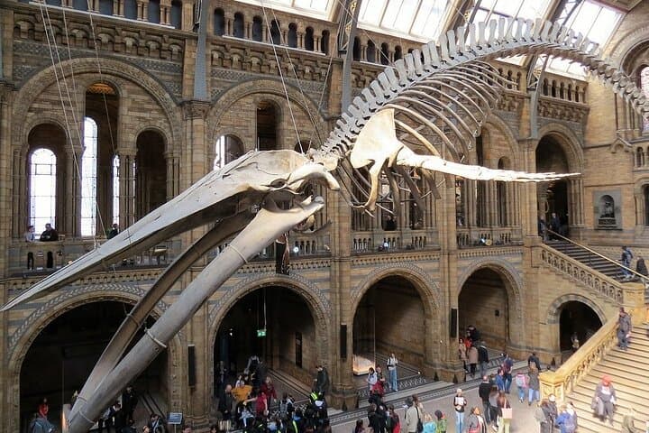 London Natural History Museum Private Guided Tour: Dinosaurs, Gems & Moon Rocks photo 1