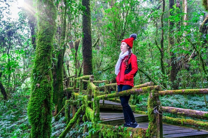 Private Doi Inthanon Day Tour — Chiang Mai to Thailand's Highest Peak photo 4