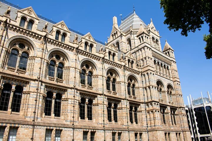Highlights Guided Tour of London's Natural History Museum photo 5