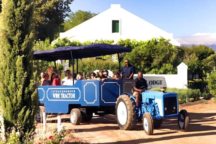 stellenbosch-wine-tractor-hop-on-hop-off-tour photo 4