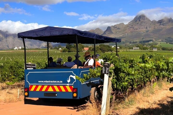 stellenbosch-wine-tractor-hop-on-hop-off-tour