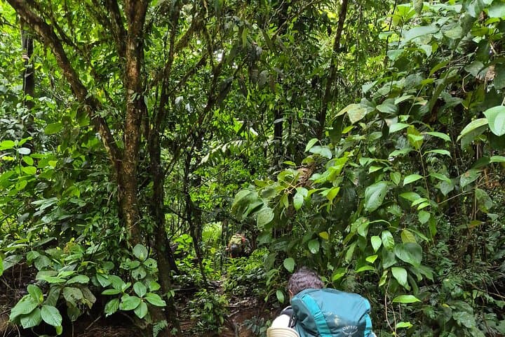 15-Day Certified Jungle Guiding Course & Expedition Training in Panama photo 4