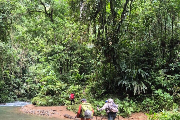15-Day Certified Jungle Guiding Course & Expedition Training in Panama photo 5