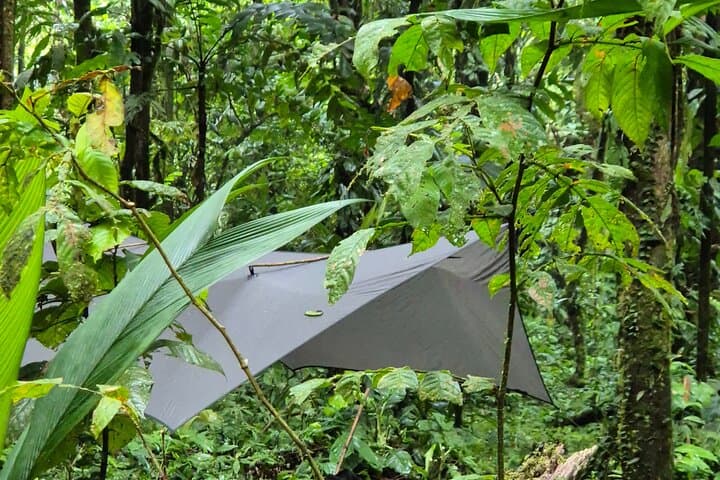 15-Day Certified Jungle Guiding Course & Expedition Training in Panama photo 6