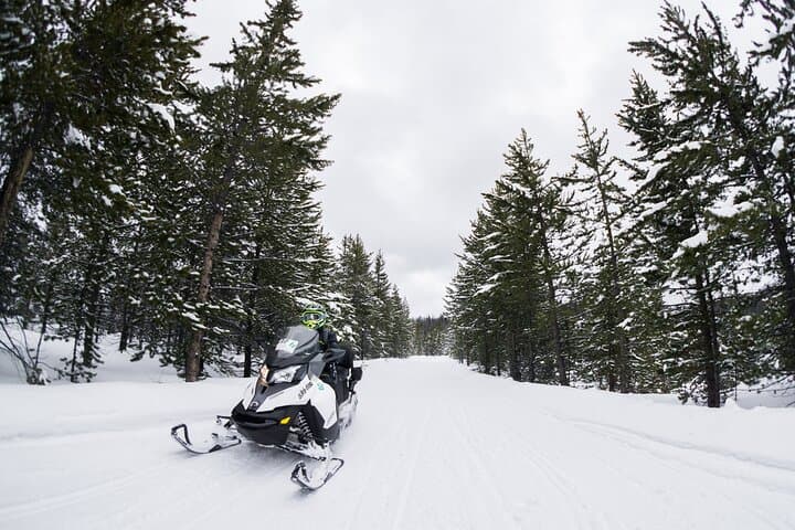 Self-Guided Snowmobiling in Alpine, WY: Grey's River Trails & Rentals photo 4