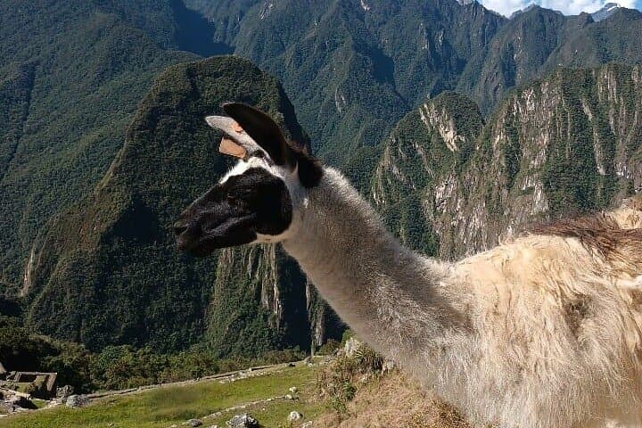 8-Day Peru Adventure: Lima, Paracas & Nazca to Machu Picchu photo 3