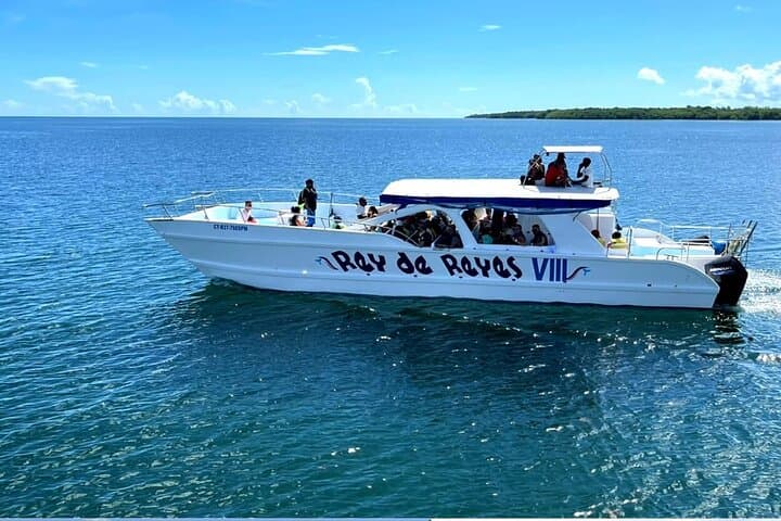 Dominican Republic 3-Day Adventure: Saona Island Beaches, Punta Cana Buggies & Santo Domingo Colonial Walk photo 2