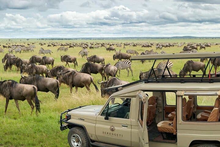 Inside Ngorongoro Crater: Full-Day Wildlife & Nature Tour with Picnic Lunch photo 2