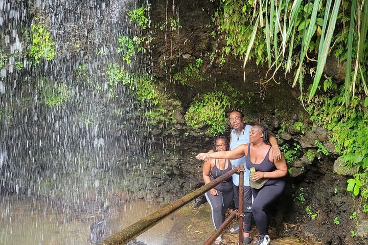 Grenada Half-Day: Rum, Chocolate & Annandale Waterfall Tour