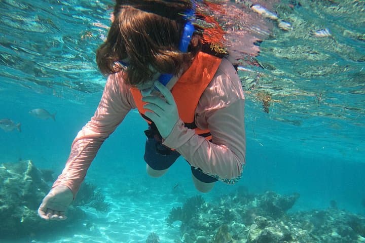 Sea Turtle Snorkeling in Akumal — Small-Group Guided Snorkel with Turtles & Reefs photo 3