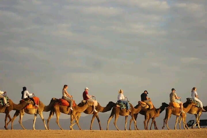Agafay Desert Camel & Quad Adventure from Marrakech with Dinner and Fire Show photo 3