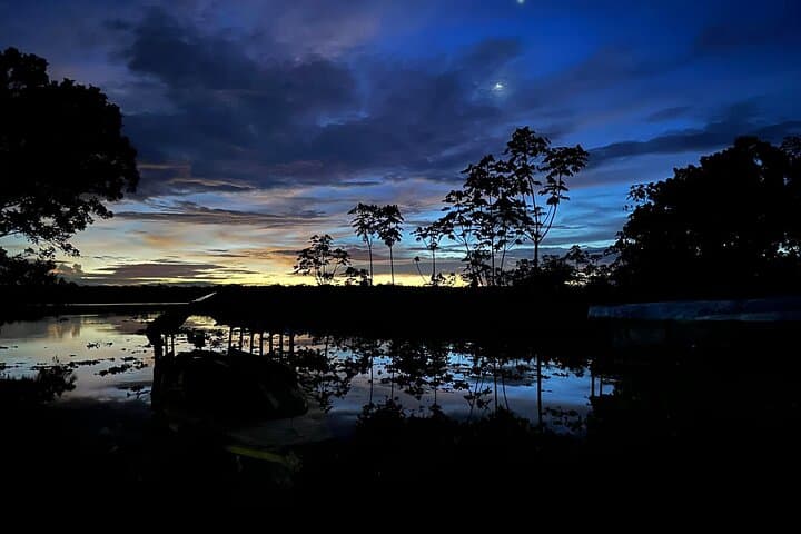 3-Day Amazon Rainforest Tour from Iquitos — Rivers, Pink Dolphins & Indigenous Culture photo 5