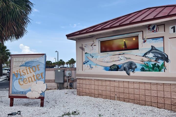 Orlando to Clearwater Beach: Dolphin Cruise & Beach Day Trip photo 2