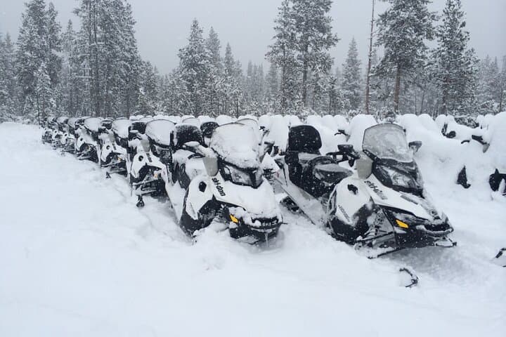 Yellowstone Grand Canyon Full-Day Snowmobile Tour from Jackson Hole photo 4