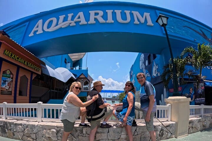 Half-Day Cancun Shopping Tour: Mercado 28, La Isla & Playa Delfines photo 5