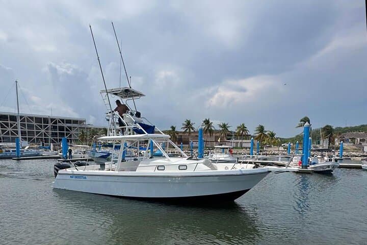Huatulco Whale and Dolphin Adventure — Best Small-Group Whale Watching Tour photo 3
