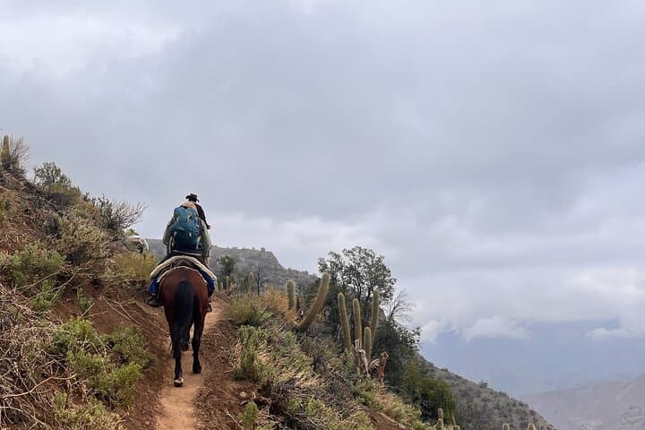 Andes Horseback Ride & Hike to Condor Viewpoint with Chilean Lunch