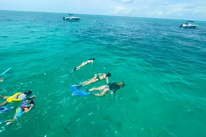 Marathon Trifecta: Snorkel Coffin's Patch, Sandbar Relaxation & Sunset Cruise photo 6