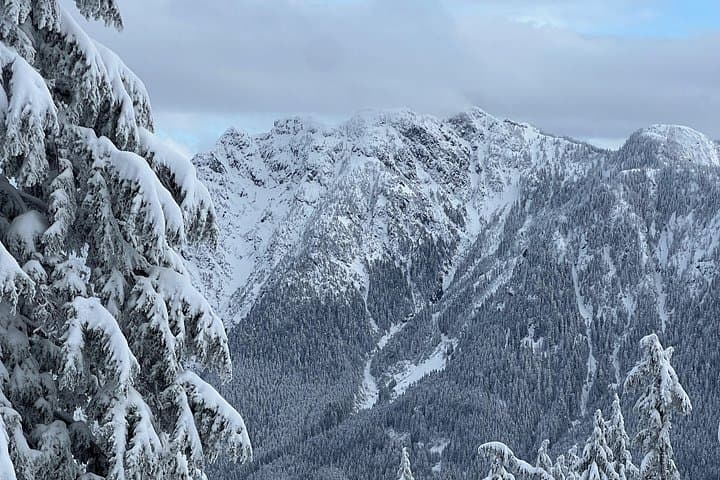 Grouse Mountain Snowshoeing Adventure & Scenic Skyride — Vancouver Winter Day Trip photo 2