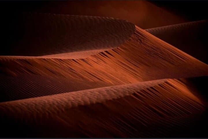 Doha Night Desert Safari: Stargazing, Camel Ride & Dune Bashing photo 5