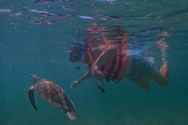 Private VW Beetle Tour: Swim with Turtles and Tulum Ruins Day Trip