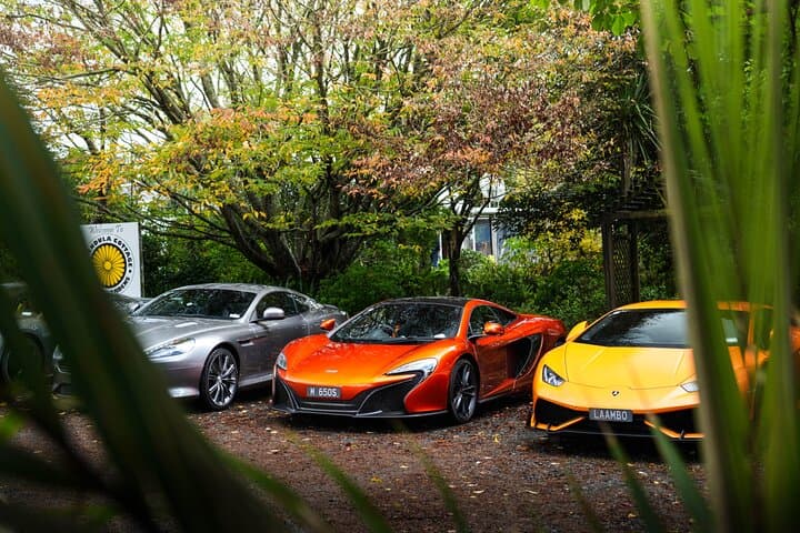 Half-Day Auckland Supercar Drive: Lamborghini, McLaren & Coastal Route