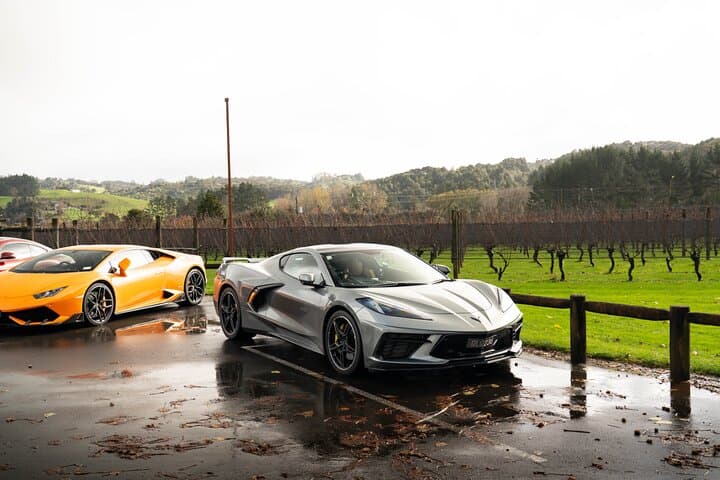 Half-Day Auckland Supercar Drive: Lamborghini, McLaren & Coastal Route photo 3