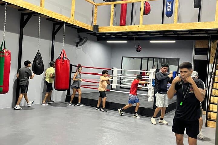 Train Like a Local: Boxing Experience in Puerto Vallarta photo 4