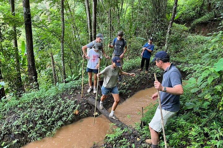 Chiang Mai Sticky Waterfall Trek: 1-Day Adventure from the City photo 3