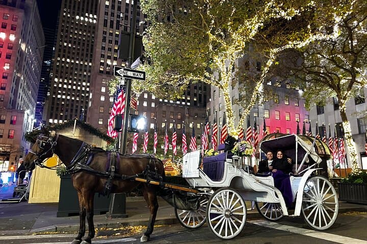 Rockefeller Christmas Lights Horse-Drawn Carriage Tour — NYC Holiday Ride photo 1