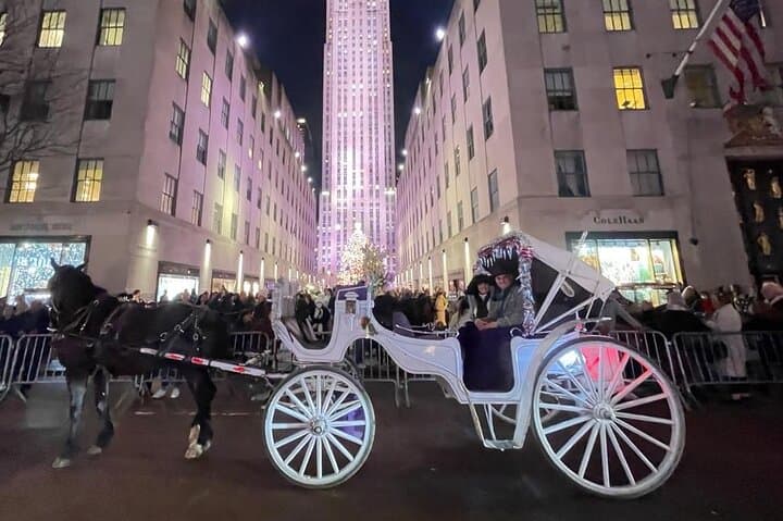 Rockefeller Christmas Lights Horse-Drawn Carriage Tour — NYC Holiday Ride photo 2