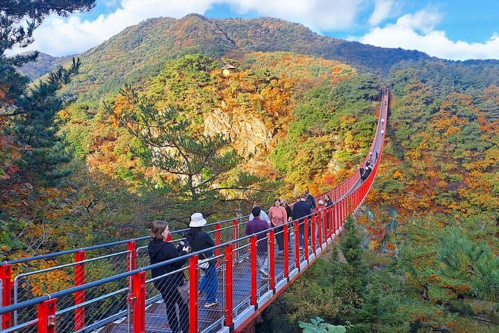 DMZ Guided Tour from Seoul: Dora Observatory, 3rd Tunnel & Suspension Bridge photo 3