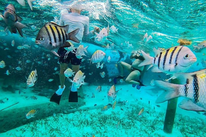 Isla Mujeres and Cancun Snorkeling and Fishing Combo: A Practical Guide to a Dual Marine Adventure photo 2
