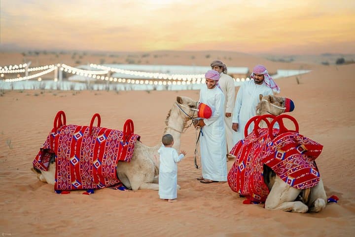 Dubai Desert Drive Adventure: Dune Bashing, Falconry & Starry Dinner (57 Safari) photo 5